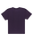 The Quiksilver Mens Mercury Double Up T-Shirt in Purple Velvet