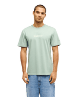 The Quiksilver Mens Fineline T-Shirt in Iceberg Green