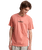 The Quiksilver Mens Fineline T-Shirt in Desert Sand
