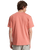 The Quiksilver Mens Fineline T-Shirt in Desert Sand