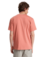 The Quiksilver Mens Fineline T-Shirt in Desert Sand