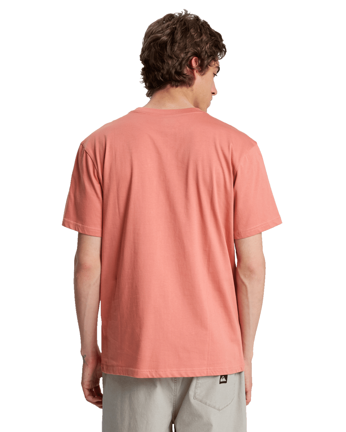 The Quiksilver Mens Fineline T-Shirt in Desert Sand