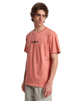 The Quiksilver Mens Fineline T-Shirt in Desert Sand