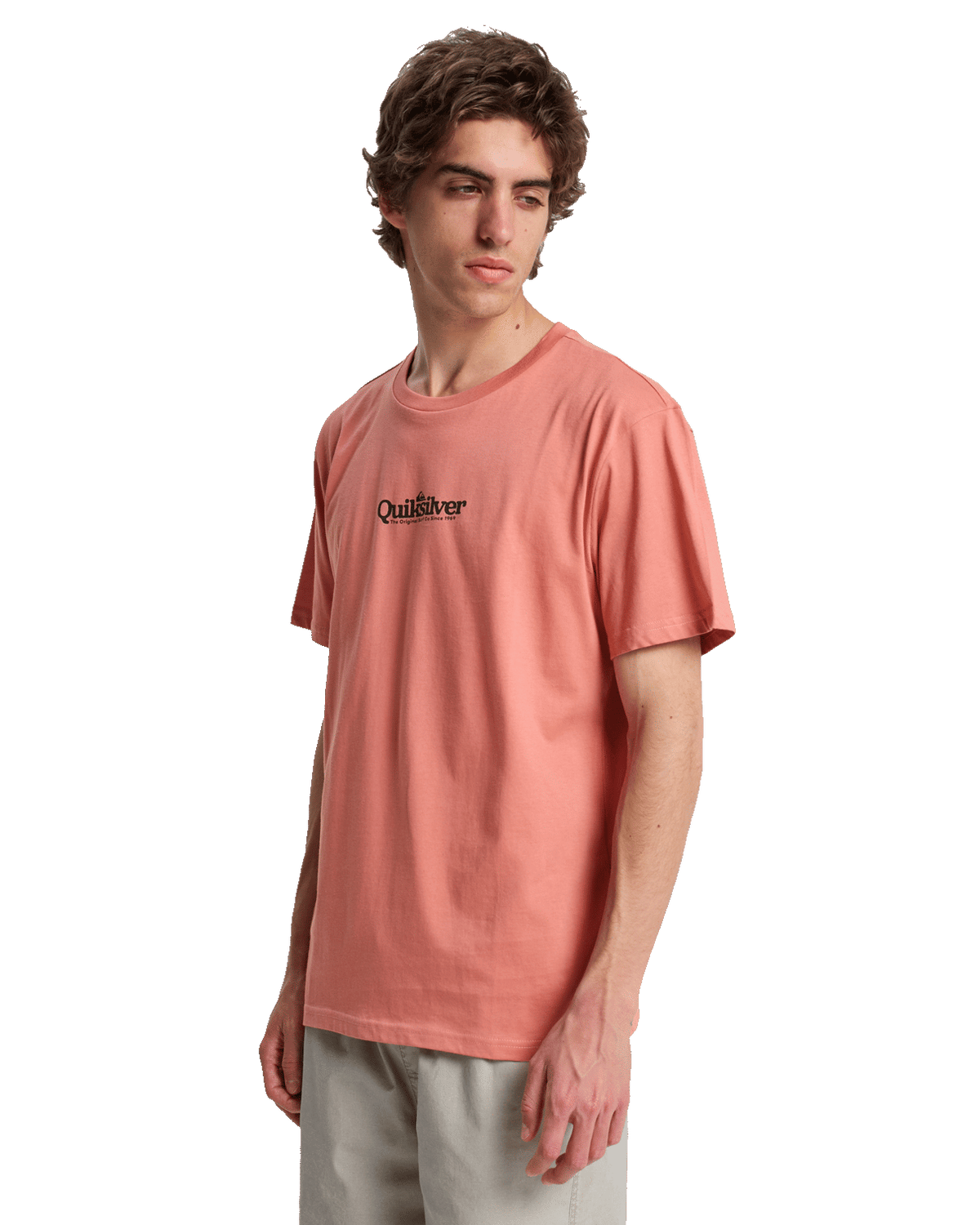 The Quiksilver Mens Fineline T-Shirt in Desert Sand
