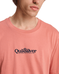 The Quiksilver Mens Fineline T-Shirt in Desert Sand