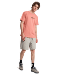 The Quiksilver Mens Fineline T-Shirt in Desert Sand