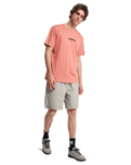 The Quiksilver Mens Fineline T-Shirt in Desert Sand