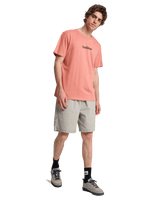 The Quiksilver Mens Fineline T-Shirt in Desert Sand