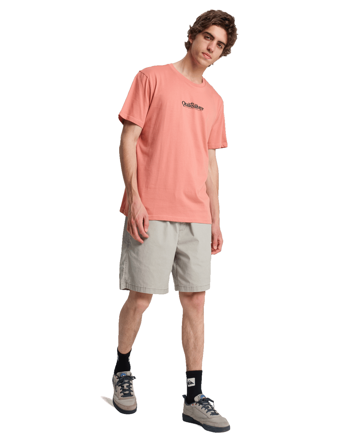 The Quiksilver Mens Fineline T-Shirt in Desert Sand