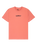The Quiksilver Mens Fineline T-Shirt in Desert Sand