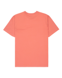 The Quiksilver Mens Fineline T-Shirt in Desert Sand
