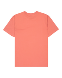 The Quiksilver Mens Fineline T-Shirt in Desert Sand