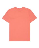 The Quiksilver Mens Fineline T-Shirt in Desert Sand