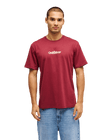 The Quiksilver Mens Fineline T-Shirt in Oxblood Red