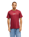 The Quiksilver Mens Fineline T-Shirt in Oxblood Red