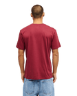 The Quiksilver Mens Fineline T-Shirt in Oxblood Red