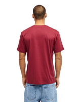 The Quiksilver Mens Fineline T-Shirt in Oxblood Red