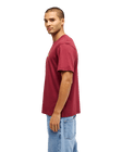 The Quiksilver Mens Fineline T-Shirt in Oxblood Red