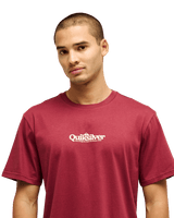 The Quiksilver Mens Fineline T-Shirt in Oxblood Red