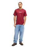 The Quiksilver Mens Fineline T-Shirt in Oxblood Red