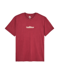 The Quiksilver Mens Fineline T-Shirt in Oxblood Red