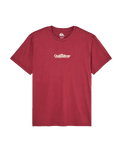 The Quiksilver Mens Fineline T-Shirt in Oxblood Red
