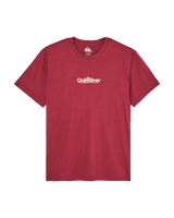 The Quiksilver Mens Fineline T-Shirt in Oxblood Red
