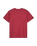 The Quiksilver Mens Fineline T-Shirt in Oxblood Red