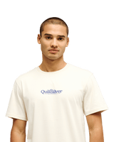The Quiksilver Mens Fineline T-Shirt in Bone White
