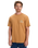 The Quiksilver Mens Light Waves T-Shirt in Almond
