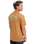 The Quiksilver Mens Light Waves T-Shirt in Almond
