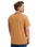 The Quiksilver Mens Anchor Lockup T-Shirt in Almond