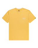 The Quiksilver Mens Anchor Lockup T-Shirt in Rattan