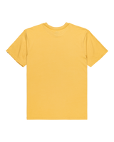 The Quiksilver Mens Anchor Lockup T-Shirt in Rattan