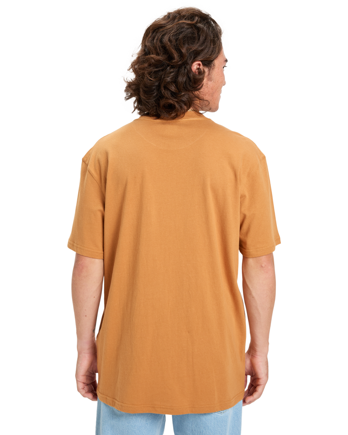 The Quiksilver Mens EV Mini Logo T-Shirt in Almond