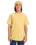 The Quiksilver Mens EV Desert Waves T-Shirt in Rattan