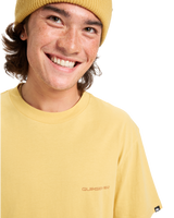 The Quiksilver Mens EV Desert Waves T-Shirt in Rattan