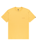 The Quiksilver Mens EV Desert Waves T-Shirt in Rattan
