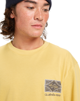 The Quiksilver Mens EVO Youth Crisis T-Shirt in Rattan