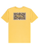 The Quiksilver Mens EVO Youth Crisis T-Shirt in Rattan