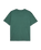 The Quiksilver Mens Salt Water T-Shirt in Forest