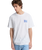The Quiksilver Mens EV Starfish Stamp T‑Shirt in Snow White