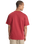 Legacy T-Shirt in Burnt Russet