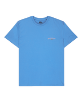 The Quiksilver Mens Tap In T-Shirt in Riviera