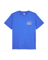 The Quiksilver Mens Liquid T-Shirt in Dazzling Blue