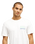 The Quiksilver Mens Liquid T-Shirt in Snow White