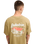 The Quiksilver Mens Deep House T-Shirt in Kelp