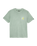 The Quiksilver Mens EVO Vibes T-Shirt in Iceberg Green