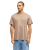 The Quiksilver Mens EVO Rays T-Shirt in Pine Bark