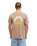 The Quiksilver Mens EVO Rays T-Shirt in Pine Bark